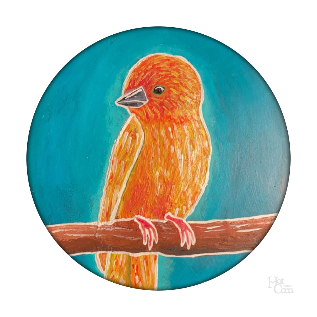 Golden Palmweaver Portrait