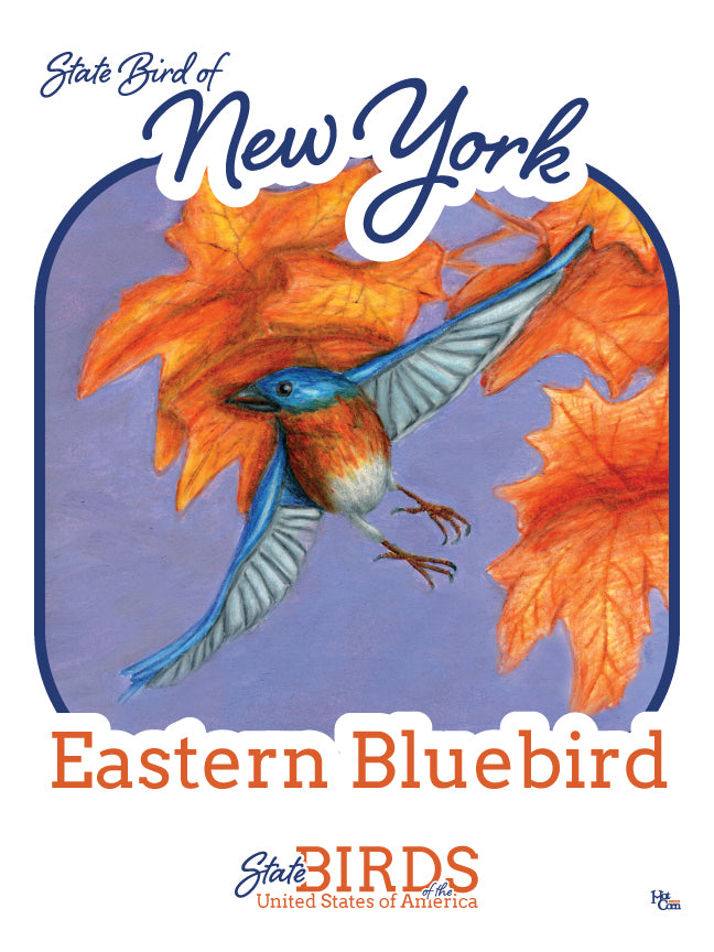 Poster of Eastern Bluebird - State Bird of New York