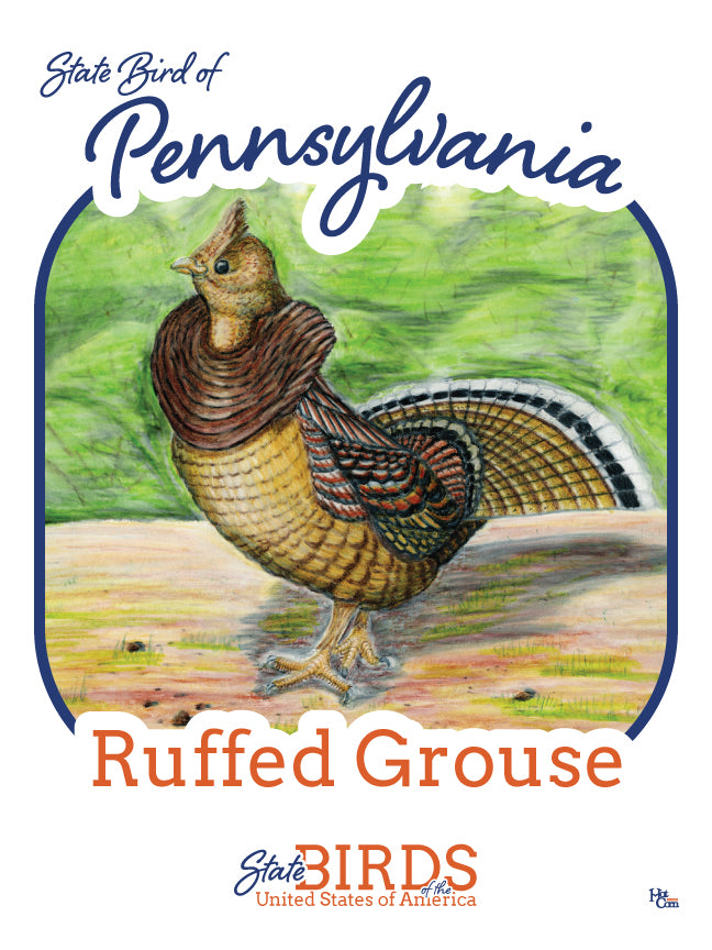 Poster of Ruffed Grouse - State Bird of Pennsylvania