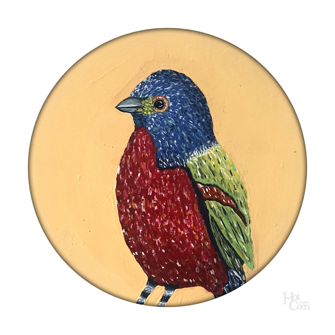 Painted Bunting Portrait
