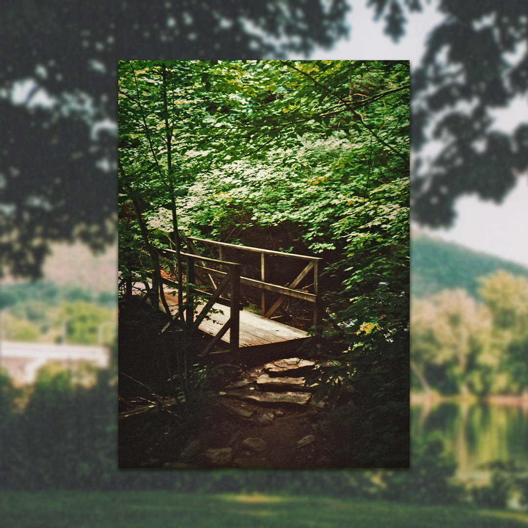 35mm Film Photography