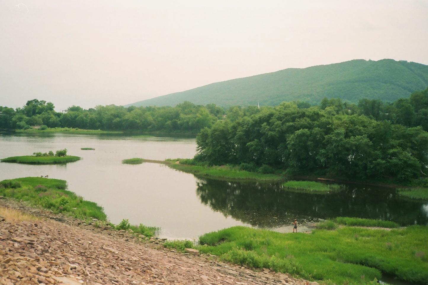 Williamsport Nature Postcards Set