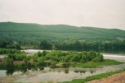 Williamsport Nature Postcards Set
