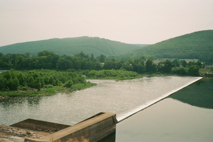 Williamsport Nature Postcards Set