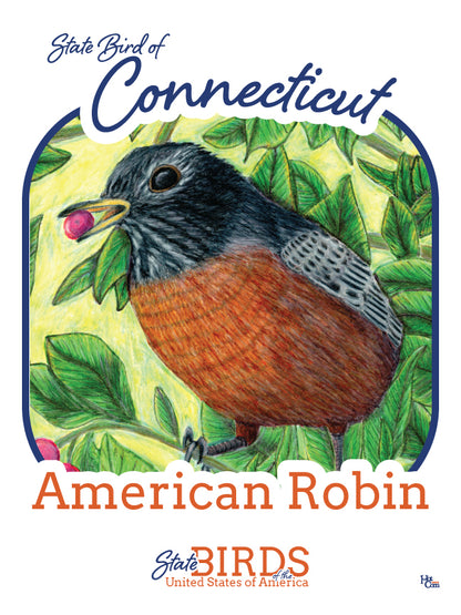 Poster of American Robin - State Bird of Connecticut