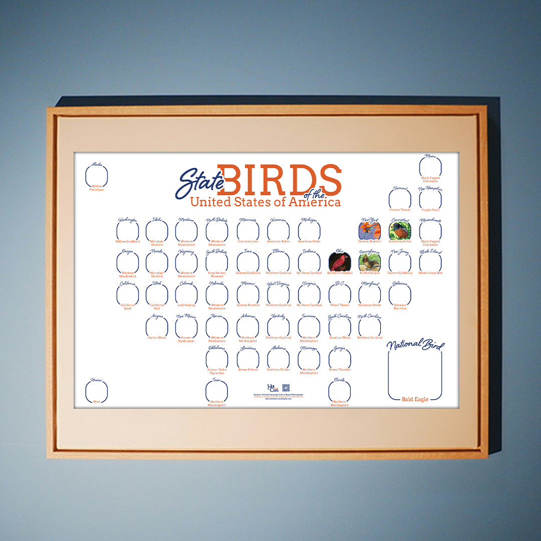 State Birds of the United State of America Horizontal Map Poster