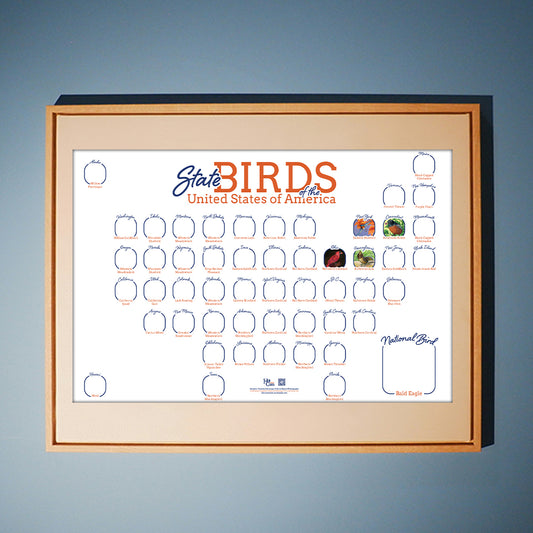 State Birds of the United State of America Horizontal Map Poster