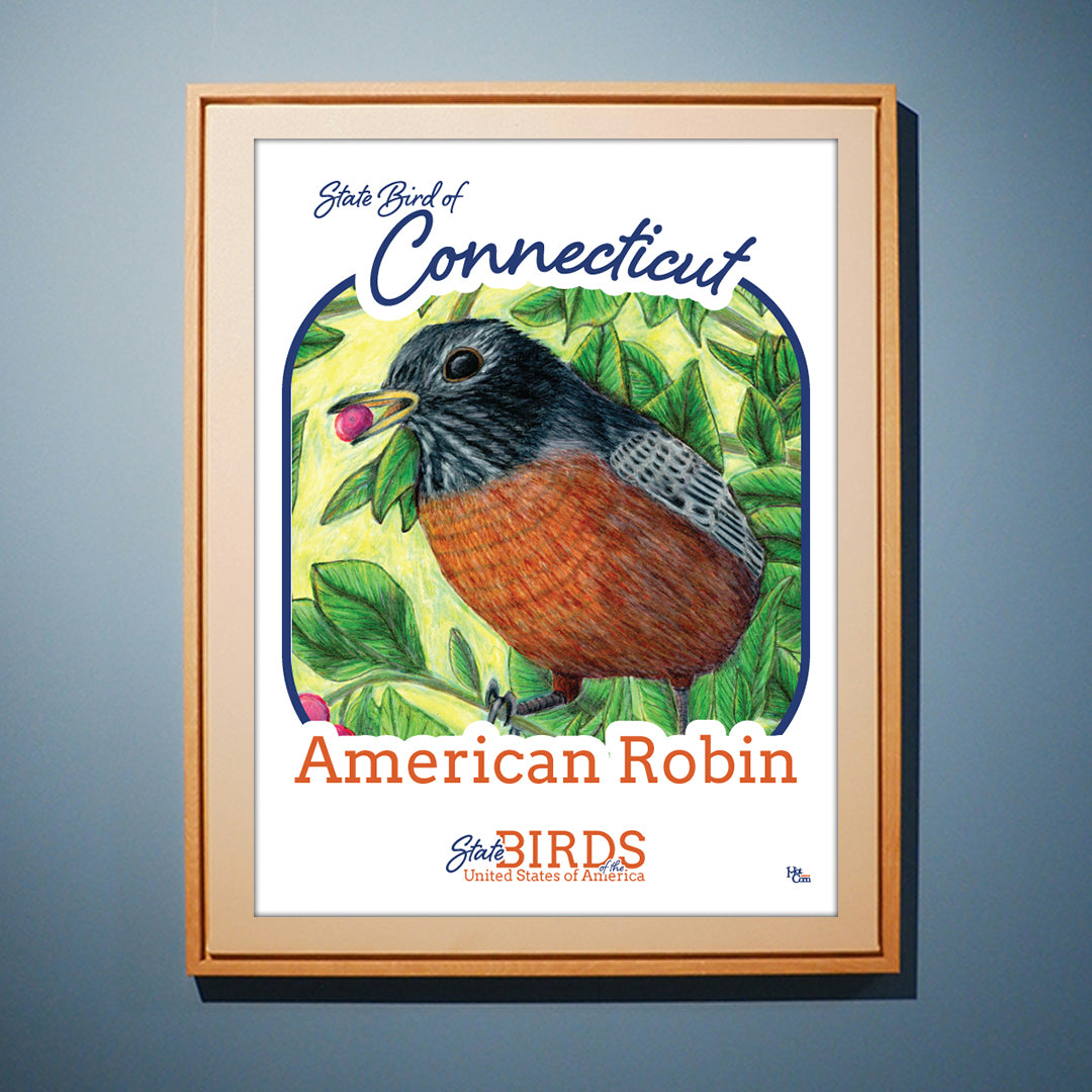 Poster of American Robin - State Bird of Connecticut