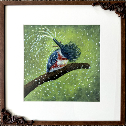 Defrosting Dinner - Female Belted Kingfisher