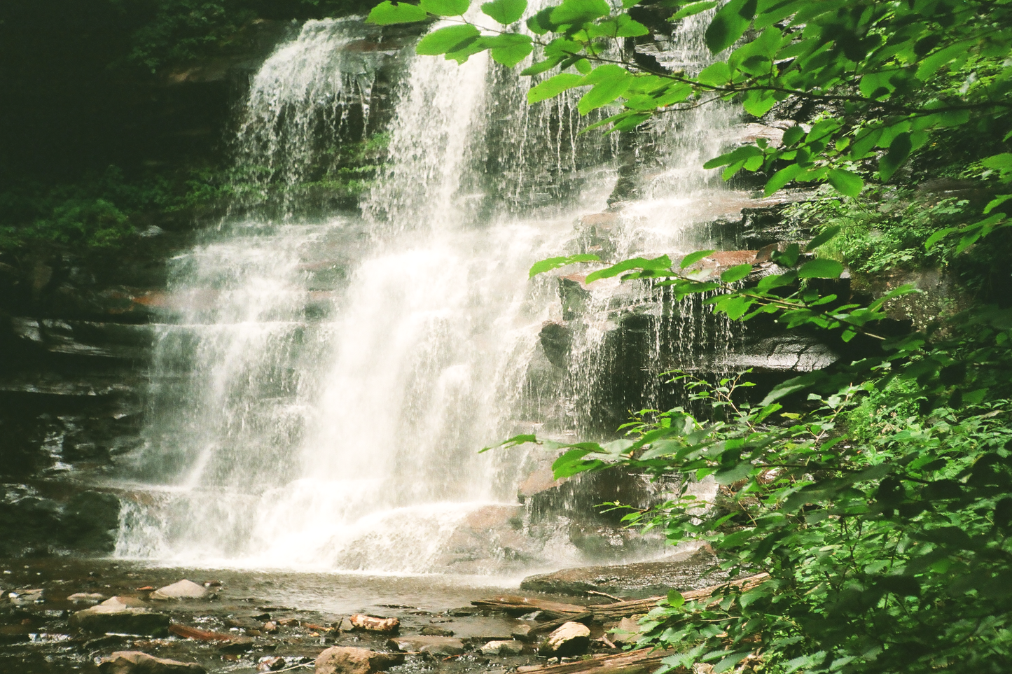 Ricketts Glen State Park Waterfalls Postcards Set