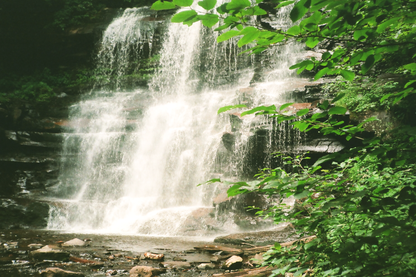 Ricketts Glen State Park Waterfalls Postcards Set