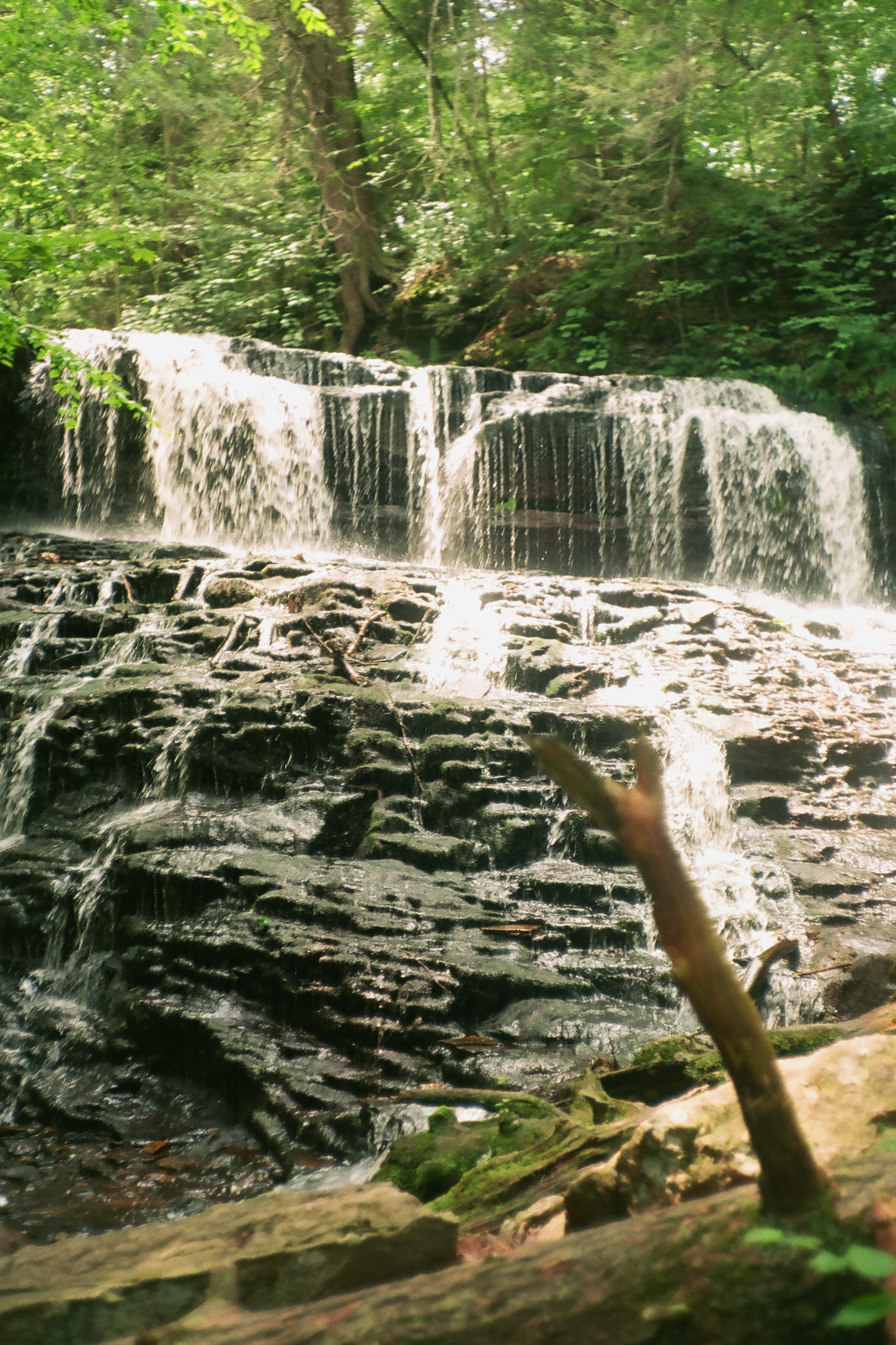 Ricketts Glen State Park Waterfalls Postcards Set