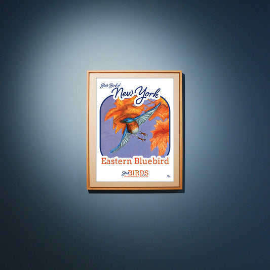 Poster of Eastern Bluebird - State Bird of New York