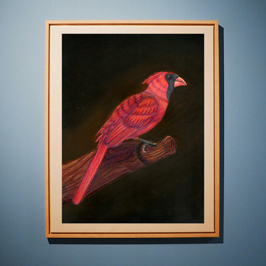 Northern Cardinal - State Bird of Ohio