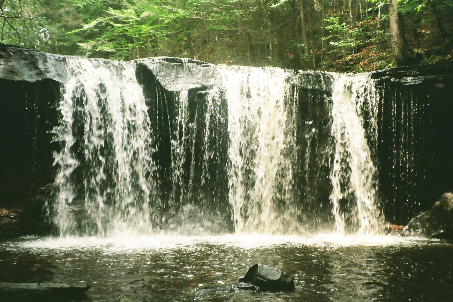 Ricketts Glen State Park Waterfalls Postcards Set