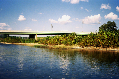 Williamsport Nature Postcards Set