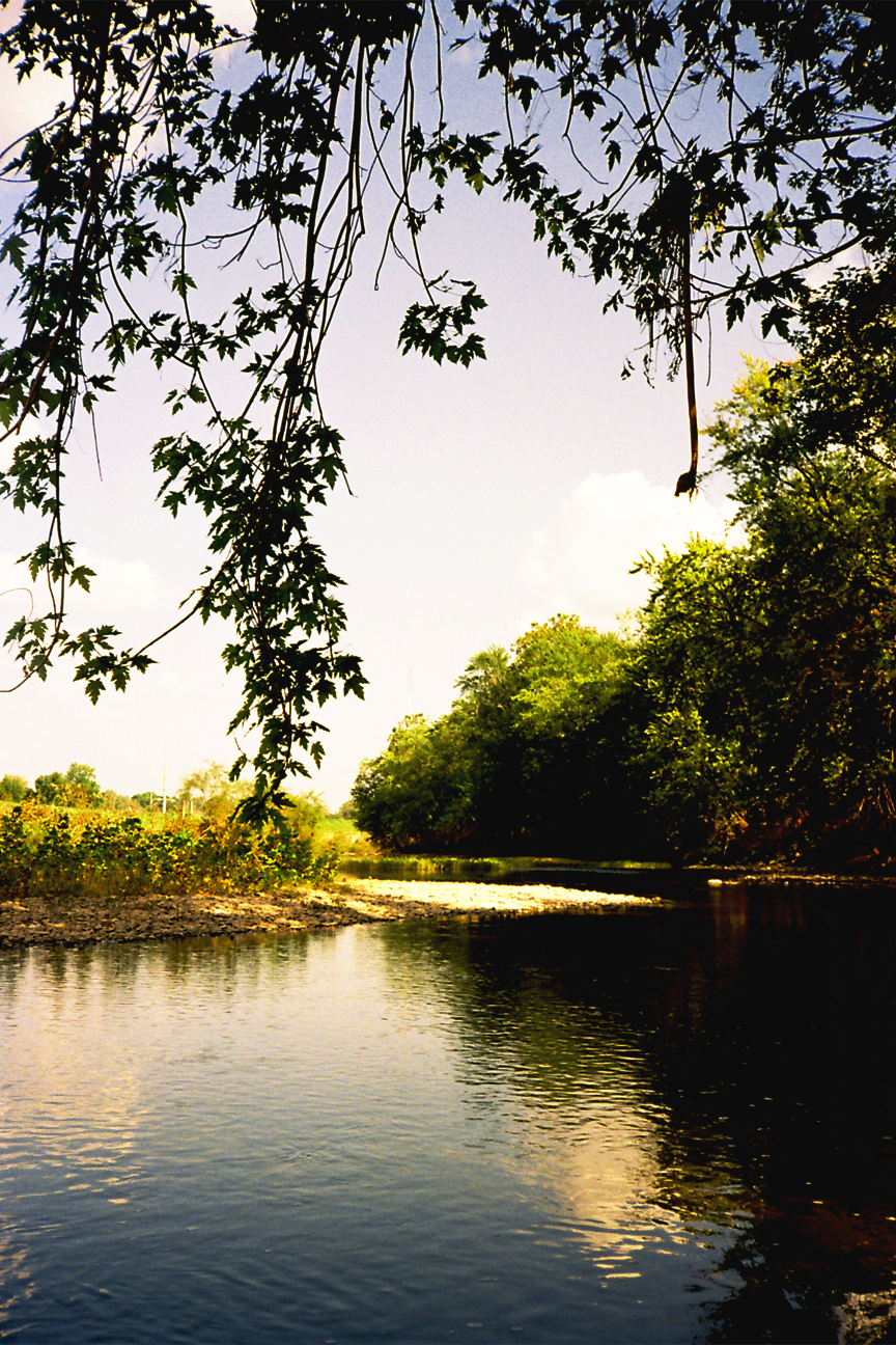 Williamsport Nature Postcards Set