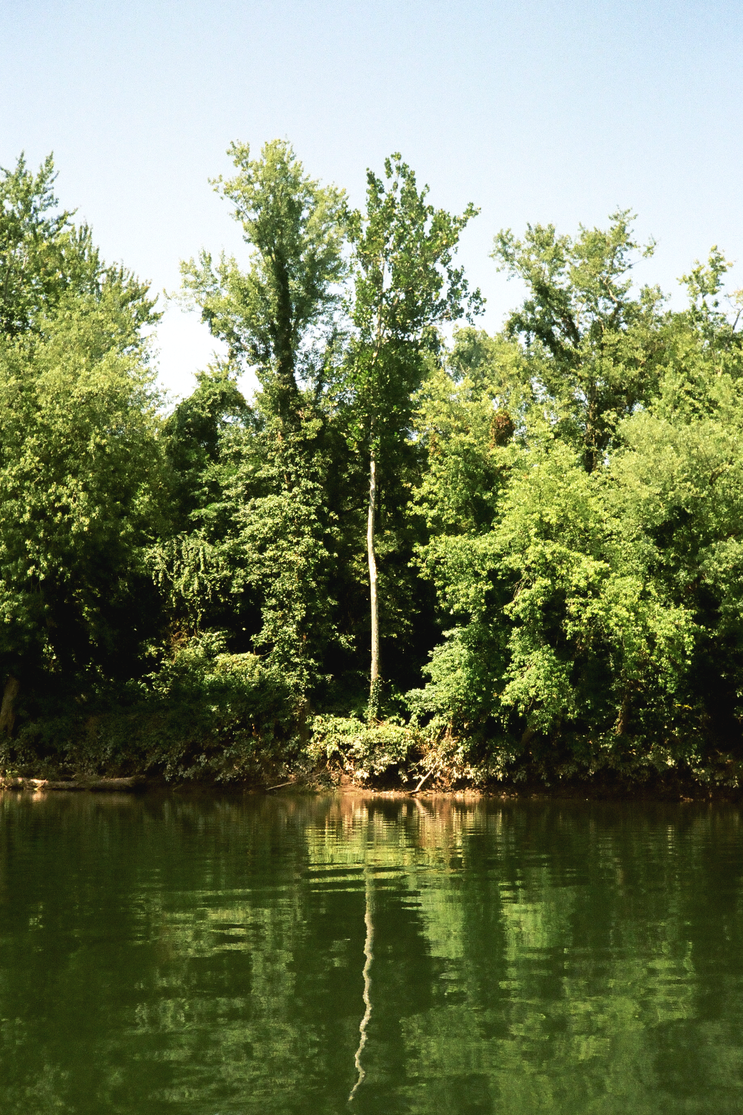 West Branch of the Susquehanna River Postcards Set