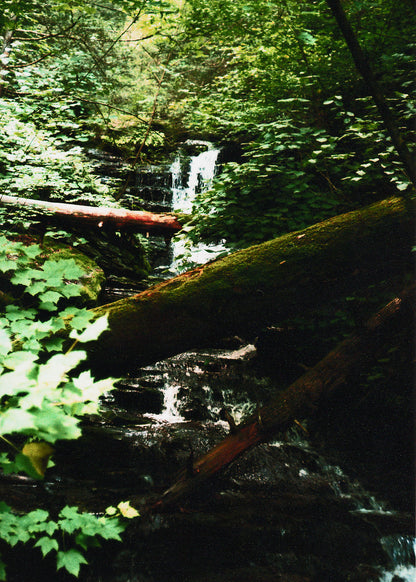 Ricketts Glen State Park Waterfalls Postcards Set