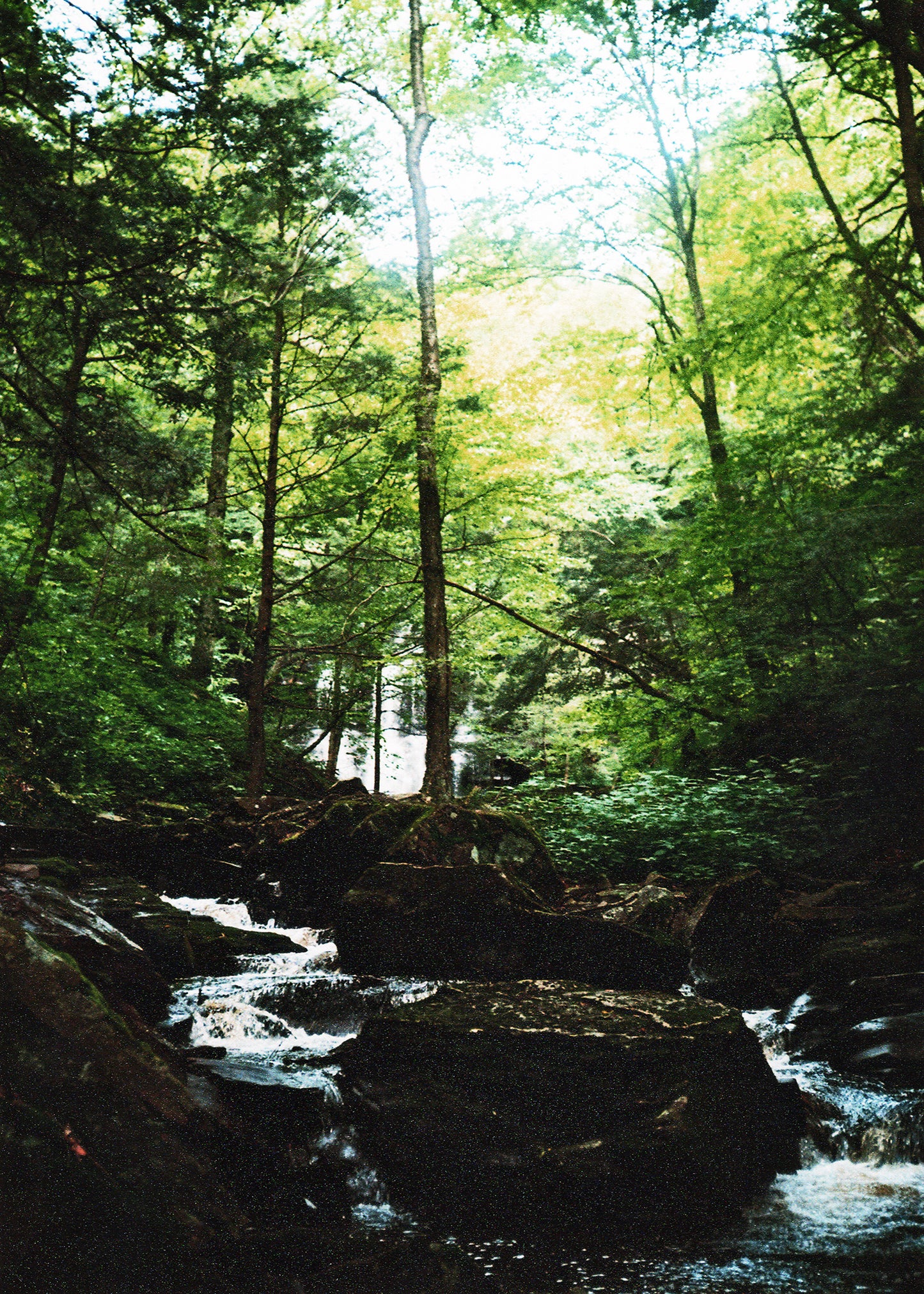 Ricketts Glen State Park Waterfalls Postcards Set