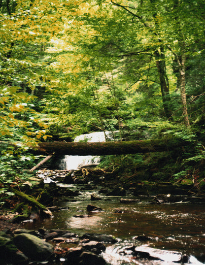 Ricketts Glen State Park Waterfalls Postcards Set