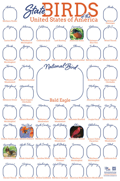 State Birds of the United State of America Vertical Poster