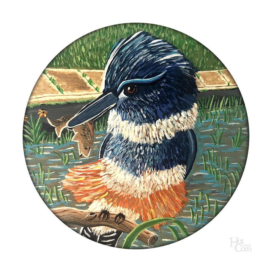 The Queen Kingfisher of Reservoir Park