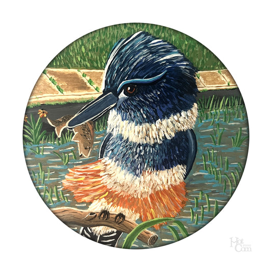 The Queen Kingfisher of Reservoir Park