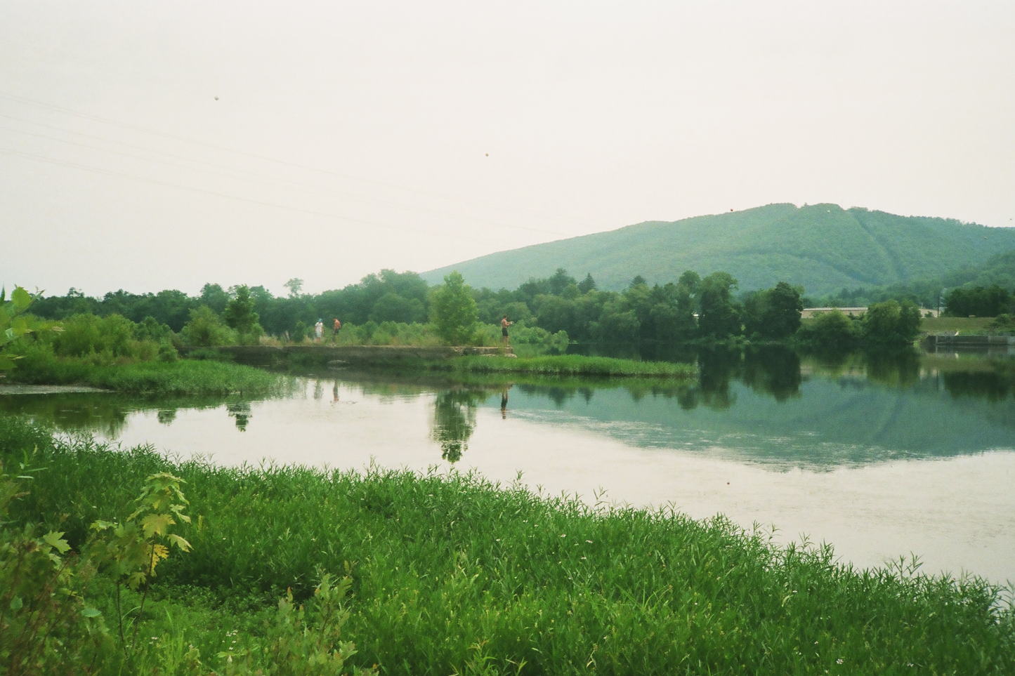 Williamsport Nature Postcards Set